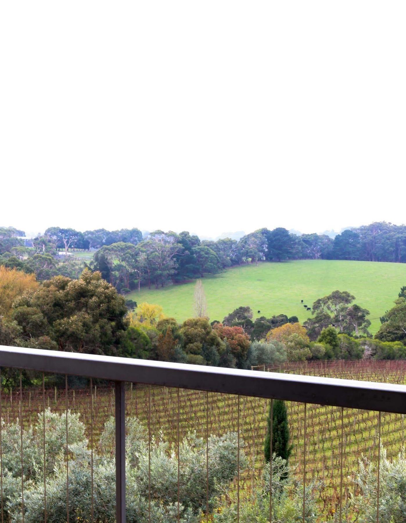 Morning Sun Vineyard Hotel Mornington Peninsula Exterior foto